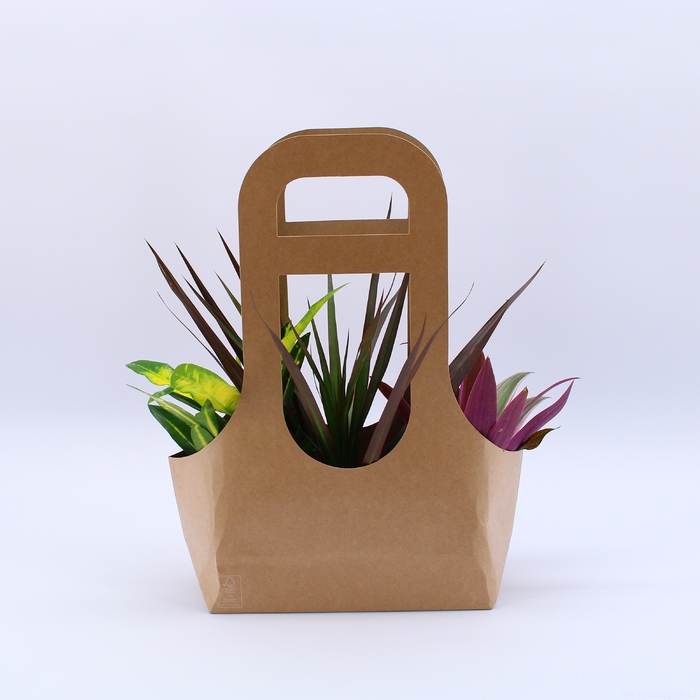 <h4>Tas 3 Ecotas met 3 planten</h4>