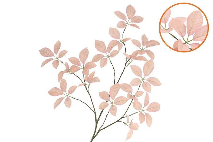 <h4>Silk Leaf Elder Champagne 124cm Nm</h4>