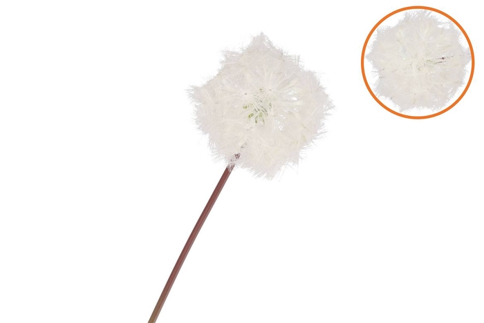 <h4>Silk Dandelion White 65cm</h4>
