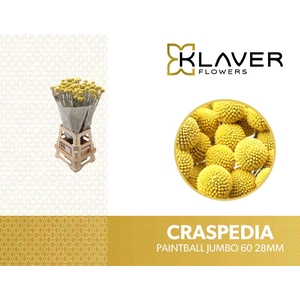 CRAS PAINTBALL JUMBO