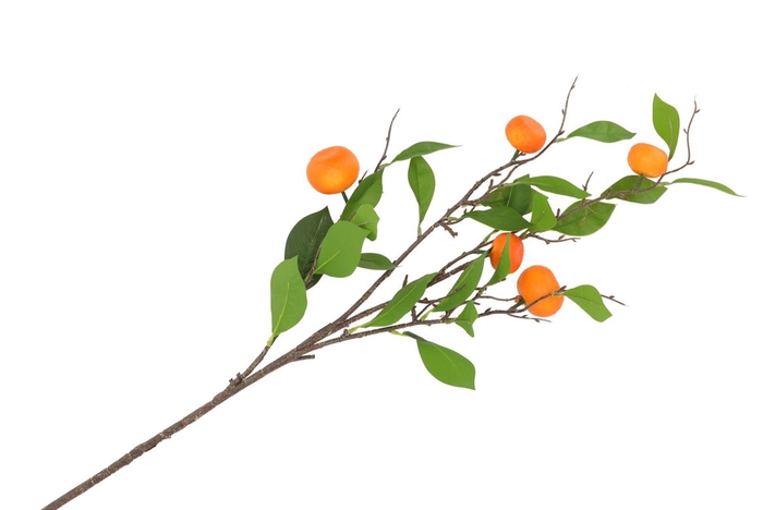 Silk Clementine Orange 80cm