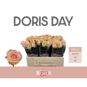 R GR DORIS DAY