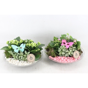 arr2 PL - Glas schaal 27cm - roze/wit