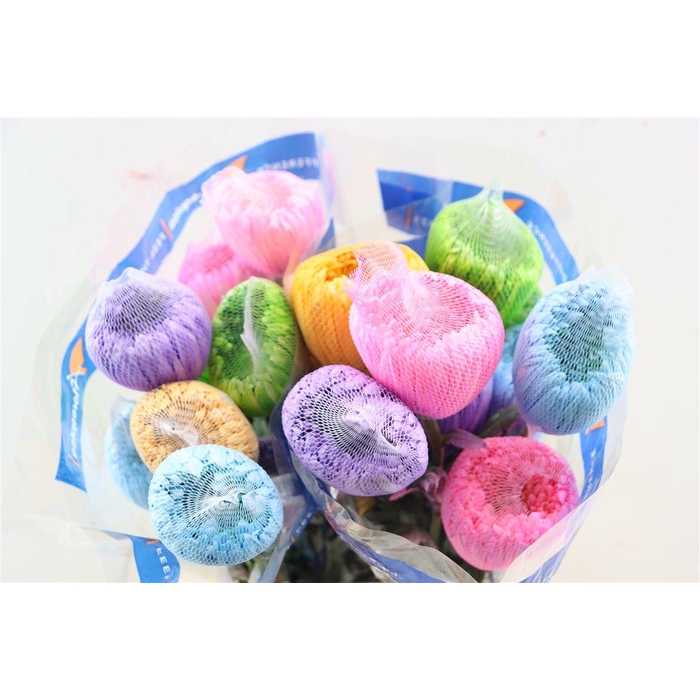 <h4>Chr G Kbh Tinted Rainbow</h4>