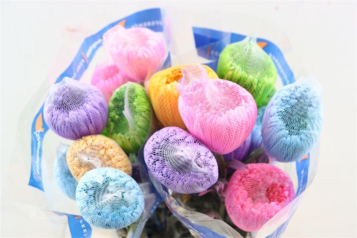 <h4>Chr G Kbh Tinted Rainbow</h4>