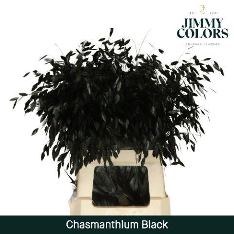 <h4>Chasmanthium L70 Black</h4>