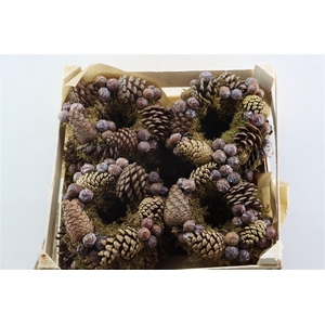 Wr Sierfruit Cone Mix 20cm
