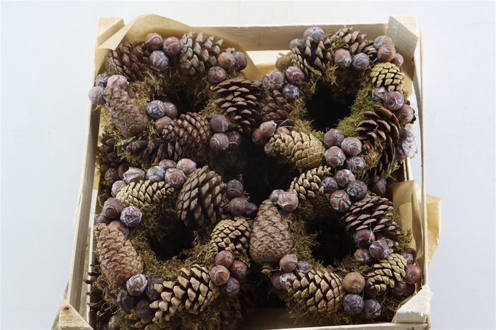 <h4>Wr Sierfruit Cone Mix 20cm</h4>