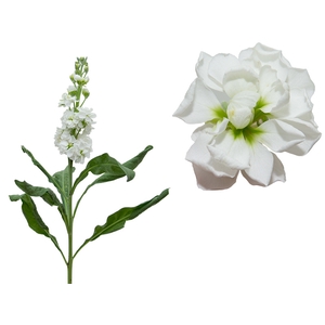 GOIVO DOBRADO 070 CM BRANCO