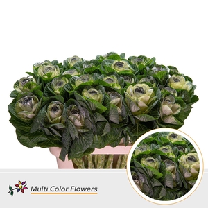 Brassica Naturel Hart Zilver