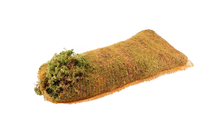 <h4>Mos Sphagnum ( Net Bag )</h4>