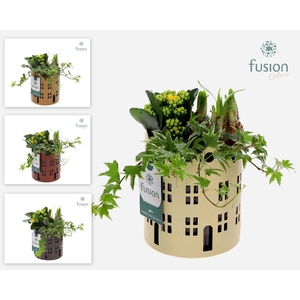 Zinken Huisjes planter met Arrangement