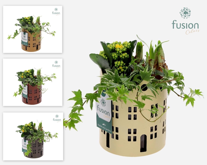 <h4>Zinken Huisjes planter met Arrangement</h4>