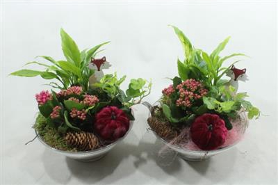 <h4>3324 PAARS GLAS 23 SPATH</h4>