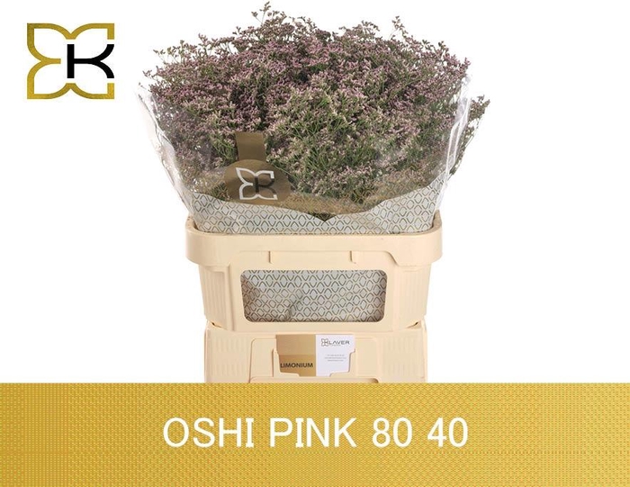 <h4>LIM SAF OSHI PINK</h4>