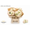 Rosa Spray Lace Porcelain