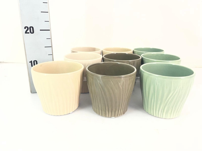 <h4>HUIS EN TUINDECO H%</h4>