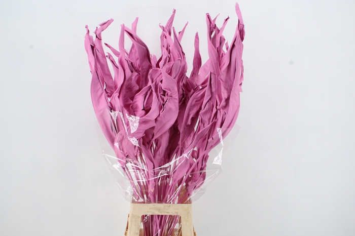 <h4>DF Strelitzia Leaf Pink</h4>