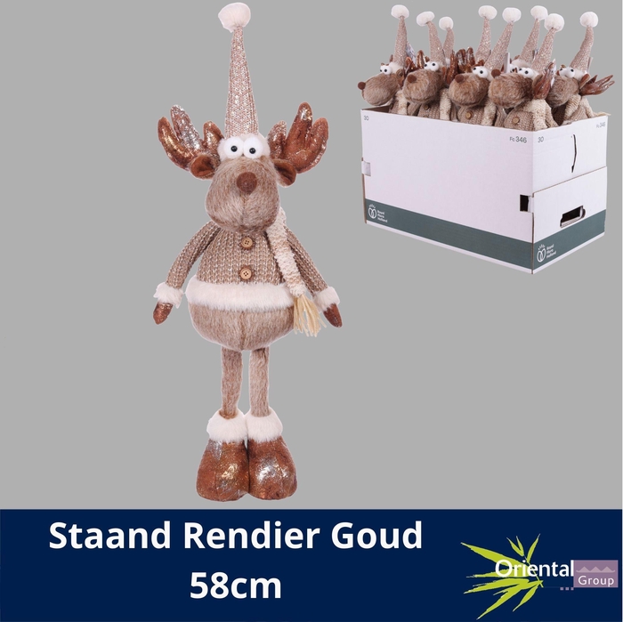 <h4>HUIS EN TUINDECO H%</h4>