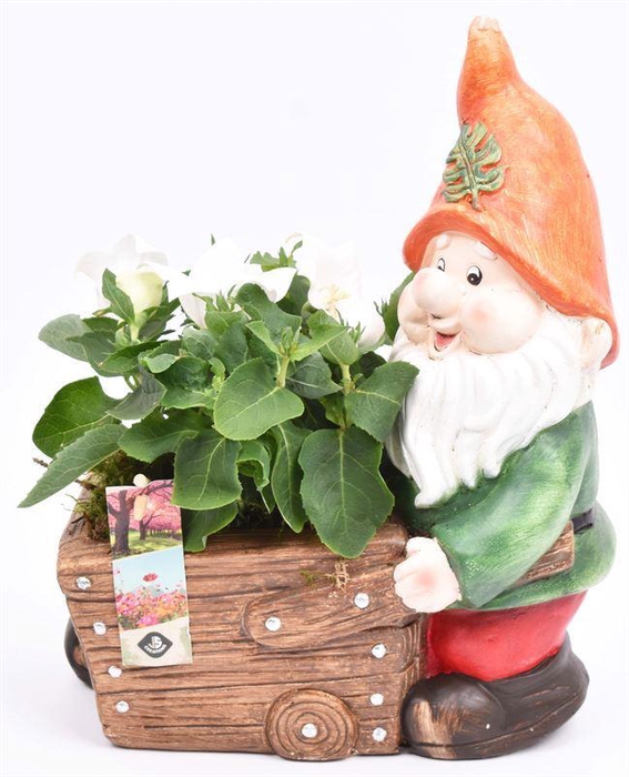 <h4>Cement kabouter met kruiwag 23x15cm</h4>