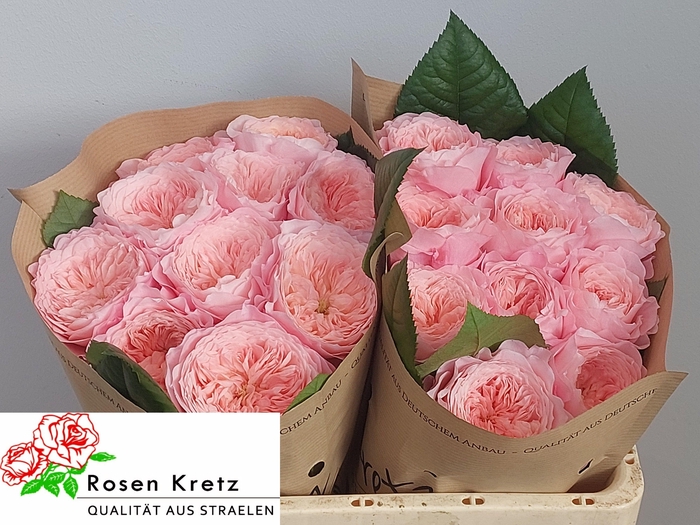 <h4>R GR MAYFIELD!</h4>