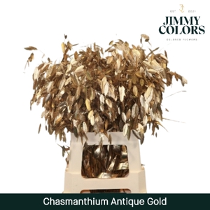 Chasmanthium L70 Mtlc. Antiek goud