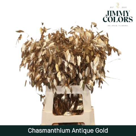 <h4>Chasmanthium L70 Mtlc. Antiek goud</h4>