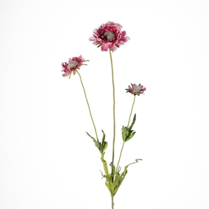 AF Scabiosa x3 L63cm Pink
