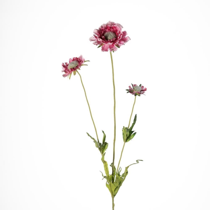 <h4>AF Scabiosa x3 L63cm Pink</h4>