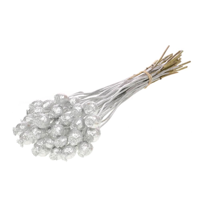 <h4>Papaver Silver</h4>