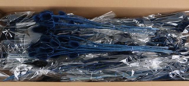 <h4>DF Dipsacus Dark Blue Bs 130g</h4>