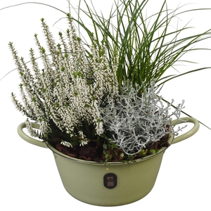 Arr.   Tuinplanten L%