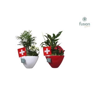 Keramieken pot rood en wit met Arrangent en de vlag van Zwitserland