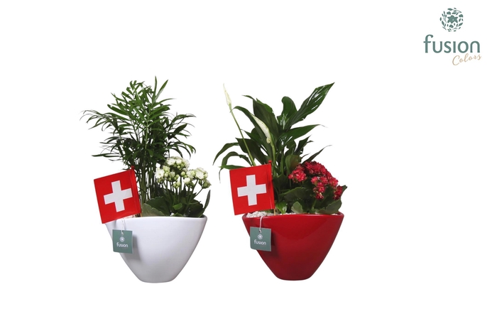 <h4>Keramieken pot rood en wit met Arrangent en de vlag van Zwitserland</h4>