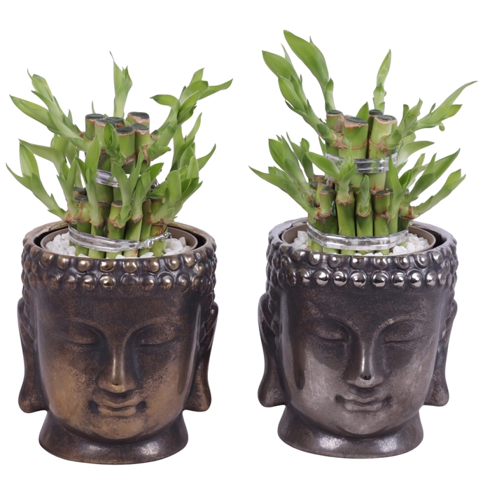 <h4>Lucky Bamboo Shape Round 2S in Ceramic Buddha Gold/Silver Ø12cm</h4>
