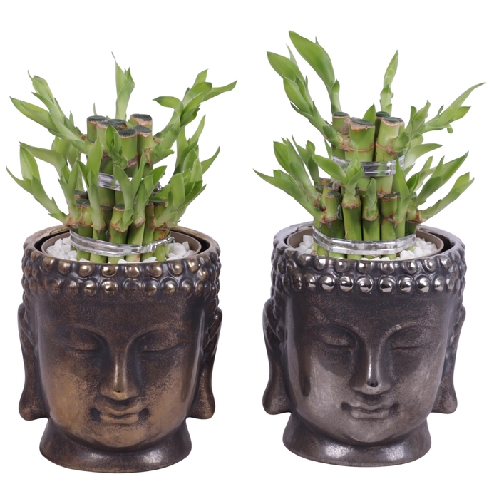 <h4>Lucky Bamboo Shape Round 2S in Ceramic Buddha Gold/Silver Ø12cm</h4>