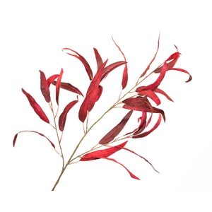 Eucalyptus Velvet Red