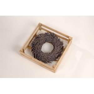 Wr Eucalypthus Mix 35cm