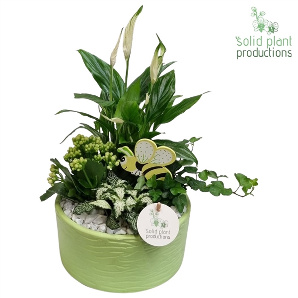 SP003 Loes Light Green