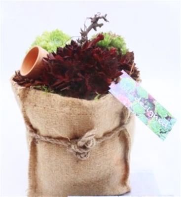<h4>SE112 XXL JUTE ZAK SEMP</h4>