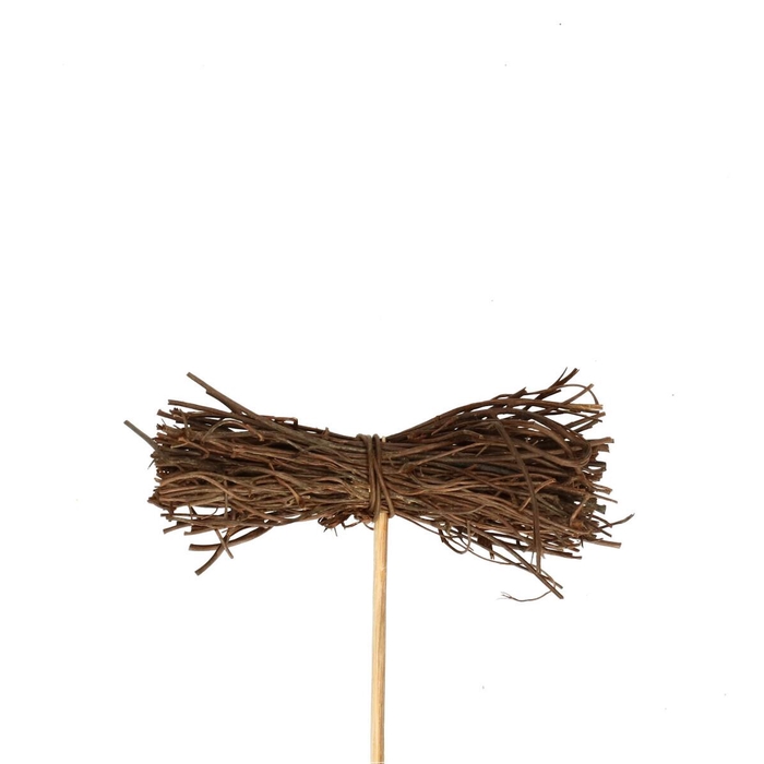 <h4>Bijsteker 10cm Salimbundel 8*3cm</h4>