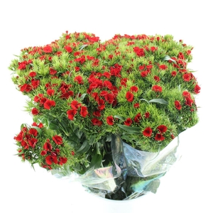 Di Barb Ball Red Super