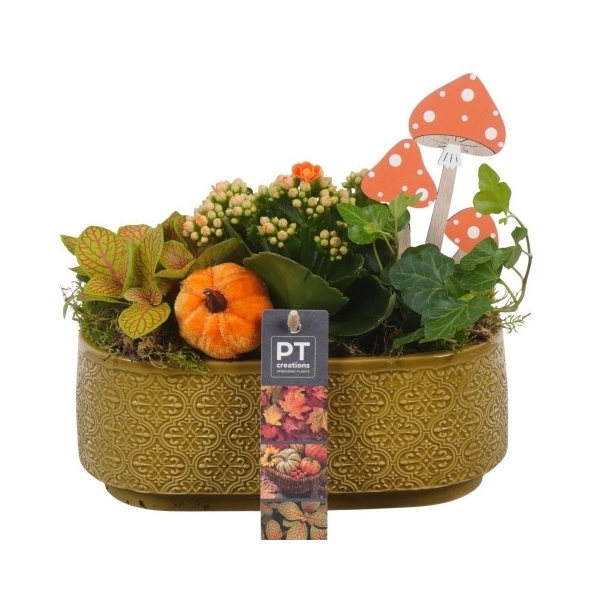 <h4>PTHI5523 Arrangement Herfst Indoor in keramiek pot</h4>