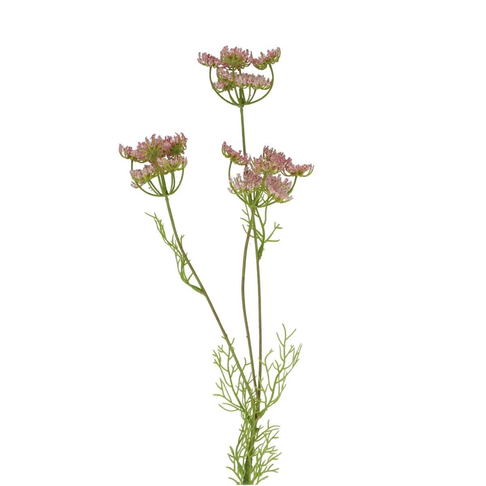 <h4>Dille 84cm</h4>
