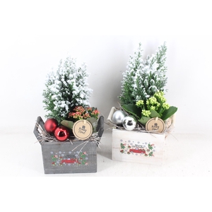 arr2 PL - Hout kist merry christmas x6