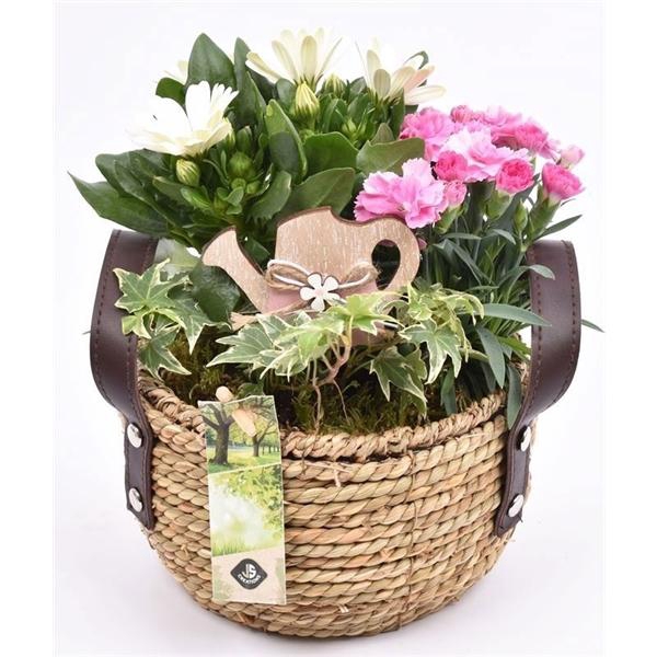 <h4>Touwmand met leer handv.18-20cm</h4>