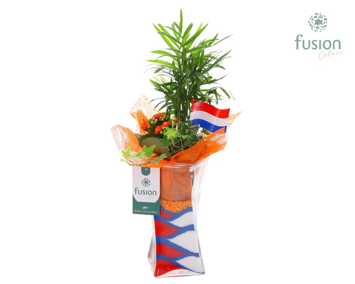 <h4>Glazen Twistervaas met Arrangement Nederland</h4>