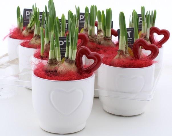 <h4>ARR N TETE A TETE</h4>