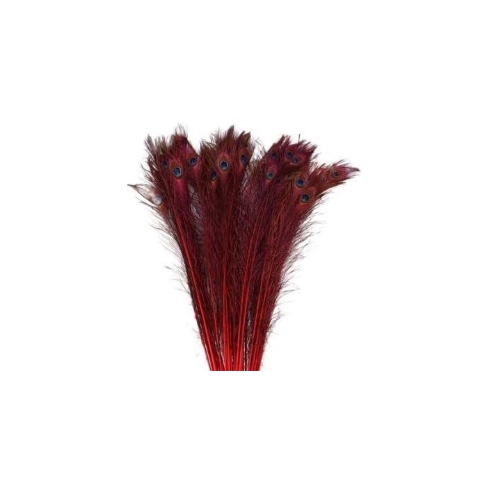 <h4>Veren Pauw 100cm</h4>