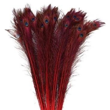 <h4>Feathers Peacock 100cm</h4>